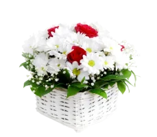 a5701b2b.webp