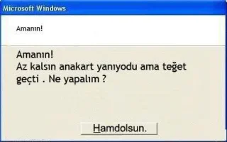 2ugew49.webp