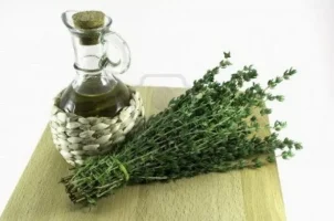 kekik_zpsnil28lr4.webp