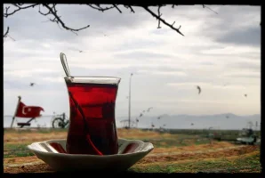 cay_zpshp9tscw5.webp