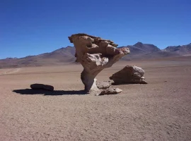 salardeuyu.webp
