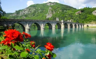 B8-TOR-1436094468-9683.webp