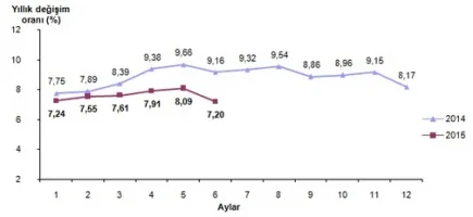 2015 Haziran Ayı Enflasyon Oranları Açıklandı