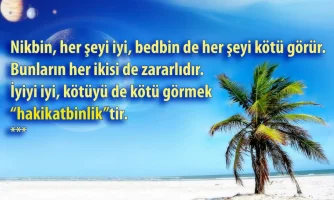 nikbin.webp