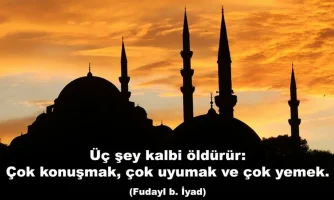 27_D9m0.webp
