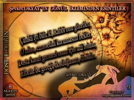 topragizbiz_dost_dedigin_sevket_okyay_9_zpshru5f.webp