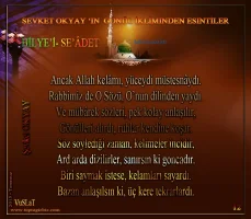 topragizbiz_Sevket_okyay_Hilyei_saadet_12_zpsqnw.webp