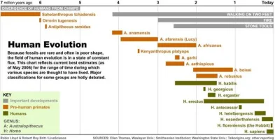 4188_62_hominid_evolution.webp