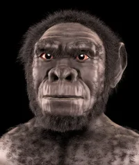 1_62_homo_habilis_-_forensic_facial_reconstruction.webp
