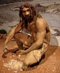 4172_62_homo_heidelbergensis_10233446.webp