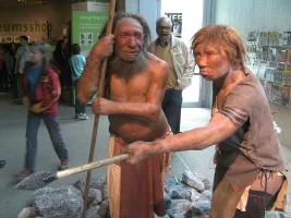 79_62_800px-neandertala_homo_modelo_en_neand-muzeo.webp
