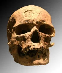 4180_62_509px-cro-magnon.webp