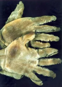 edgein2.webp