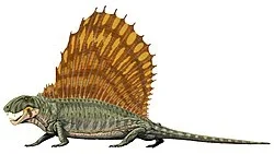 250px-Dimetrodon_grandis.webp