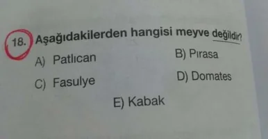 Aşağıdakilerin Hangisi Meyve Değildir?