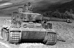 tigeri.webp