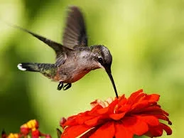 imagesygy.webp