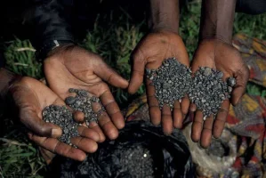 coltan2.webp