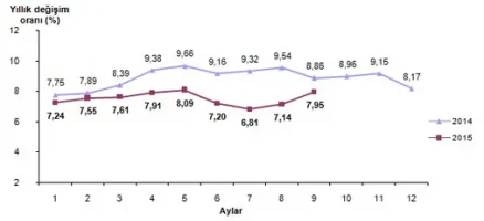 2015 Eylül Ayı Enflasyon Oranları Açıklandı