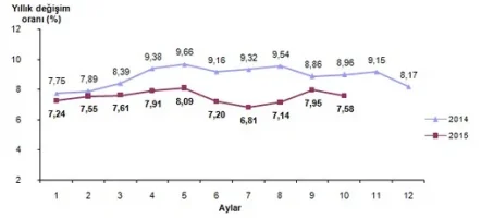 2015 Ekim Ayı Enflasyon Oranları Açıklandı