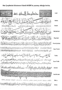 kamilakdik.webp