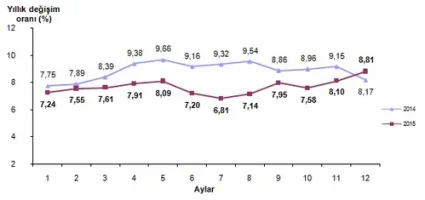 2015 Aralık Ayı Enflasyon Oranları Açıklandı