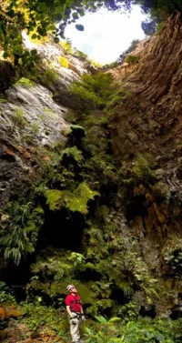 GNKVD-1457519341-1573.webp