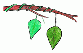 sarmasik9.gif