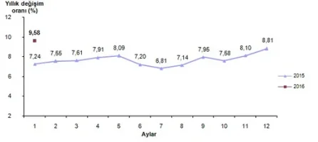 2016 Ocak Ayı Enflasyon Oranları Açıklandı