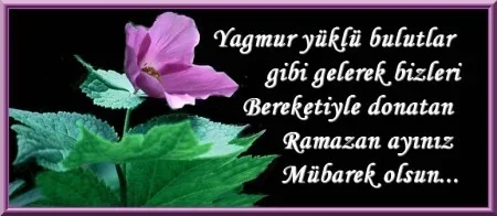 5VMm6q.webp