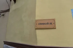 cinaraded.webp