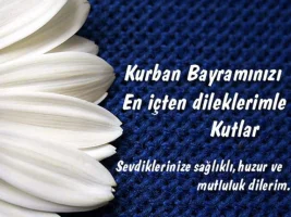 113_d.webp