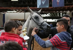 660191.webp