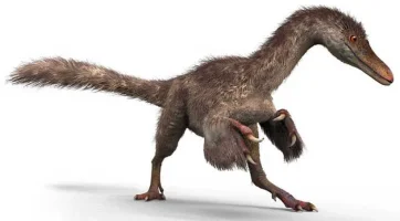 dinozooio.webp