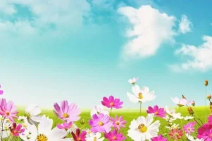 1755405_1_1487434337buKOz.webp