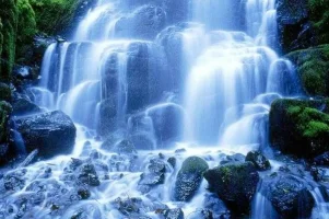 1755405_2_1487434337ZpsGX.webp