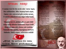 q493pp29.webp