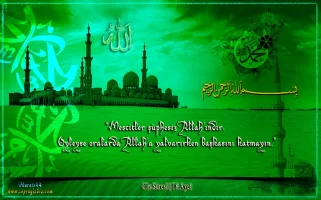 srifn8us.webp