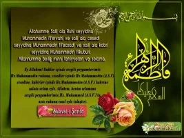 acw28vut.webp
