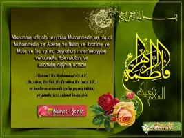 nplw8s62.webp