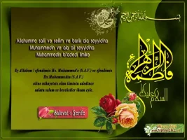 9i6yanob.webp