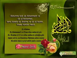 qb9gt4m6.webp