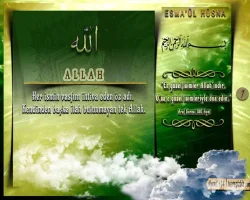 2erpcvf3.webp