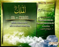 7xqahff8.webp