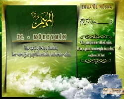 dfcrwv3x.webp