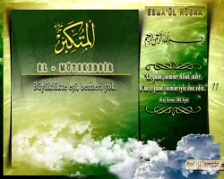 c6oofbil.webp