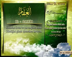 qp8gmbte.webp