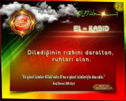 abqbqhoa.webp
