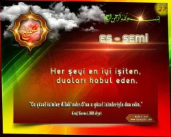 4ynt8ndz.webp