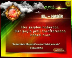 vdrb3q48.webp